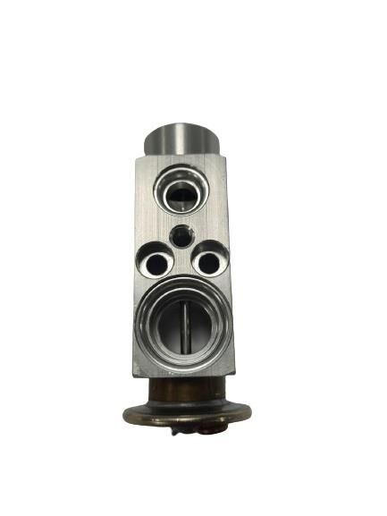EXPANSION VALF BMW 5 SERİSİ E39 E53