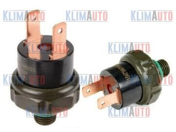 KLİMA BASINÇ MÜŞÜRÜ UNİVERSAL 2 FİŞLİ ERKEK