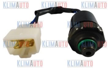 KLİMA BASINÇ MÜŞÜRÜ UNİVERSAL ERKEK