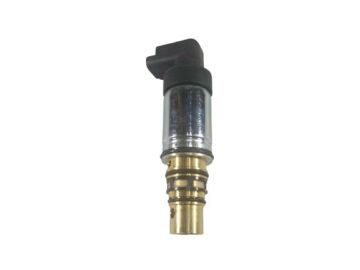 KONTROL VALF CİTROEN PEUGEOT SANDEN (9.4CM)