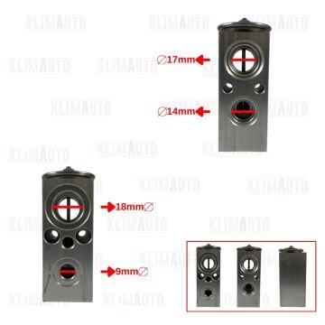 EXPANSION VALF FORD CARGO