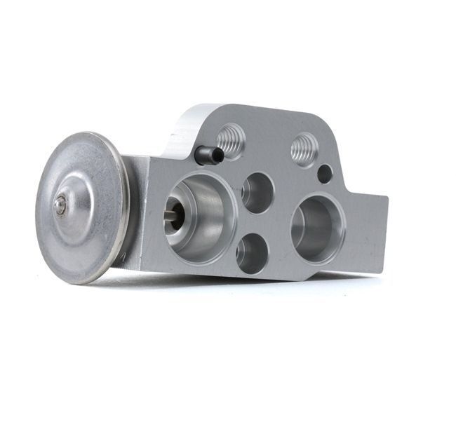 EXPANSION VALF GOLF V CADDY PASSAT