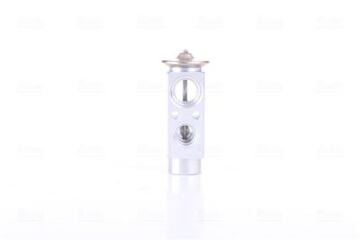 EXPANSION VALF MERCEDES A SERİSİ W169 04-12