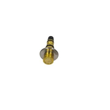 KONTROL VALF VW SKODA SAAB LAND ROVER OPEL (58MM)