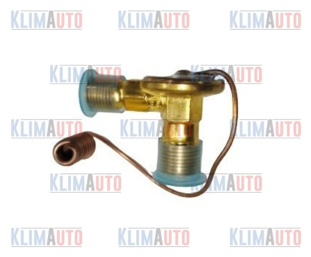 EXPANSION VALF İÇTEN DENGELİ TELLİ ORİNGLİ