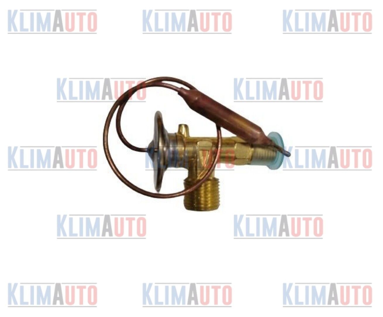 EXPANSION VALF İÇTEN DENGELİ TELLİ ORİNGLİ