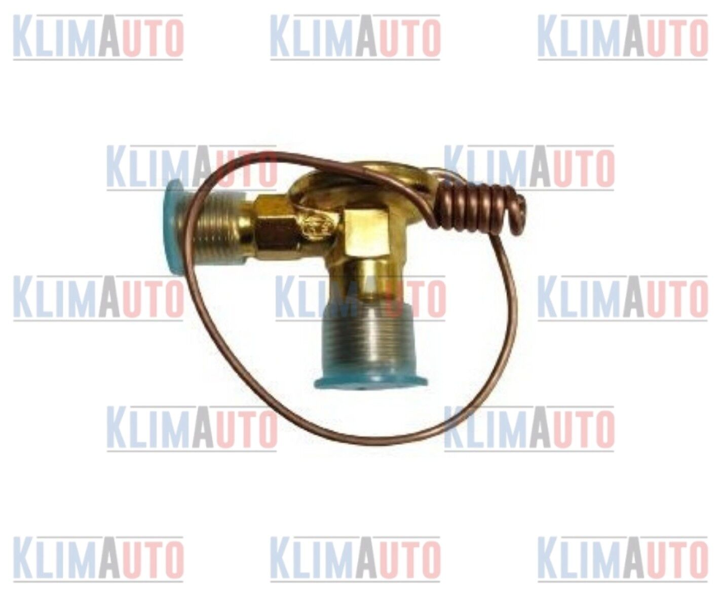 EXPANSION VALF İÇTEN DENGELİ TELLİ ORİNGLİ