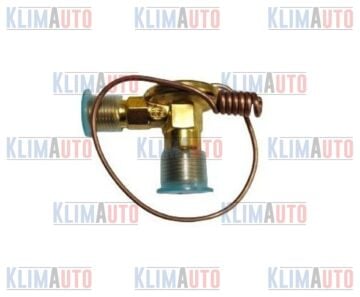 EXPANSION VALF İÇTEN DENGELİ TELLİ ORİNGLİ