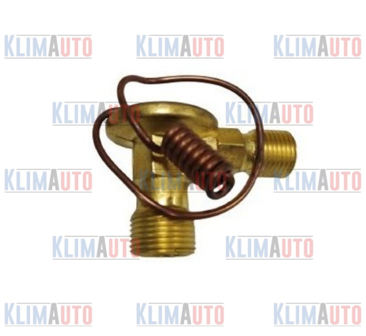 EXPANSION VALF İÇTEN DENGELİ TELLİ ORİNGLİ 16/1.5-20/1.5