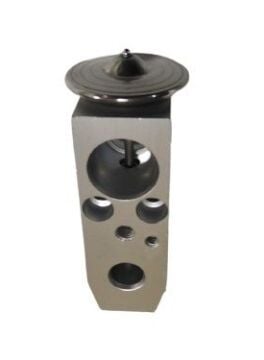 EXPANSION VALF NİSSAN