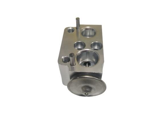 EXPANSION VALF BMW E90-E81 07-11
