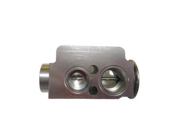 EXPANSION VALF BMW E90-E81 07-11