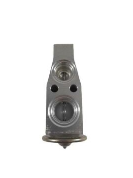 EXPANSION VALF VW PASSAT