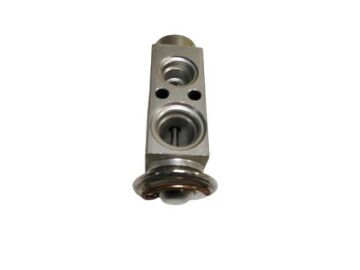 EXPANSION VALF BMW E39 E53 X5