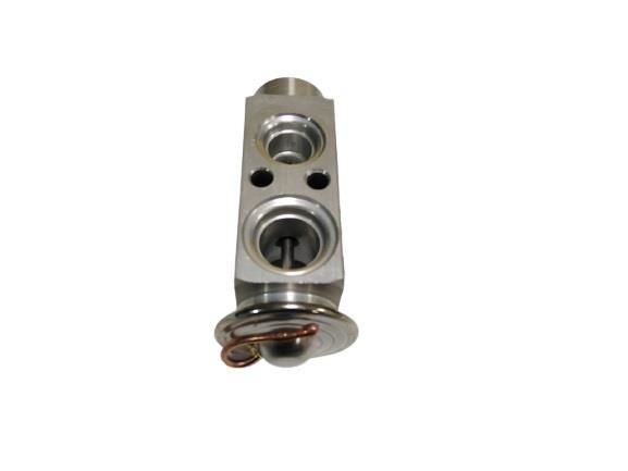 EXPANSION VALF BMW 3.18 3.25